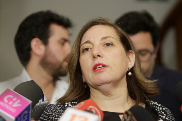 Elección de consejeros: Presidenta del PS llamó a 