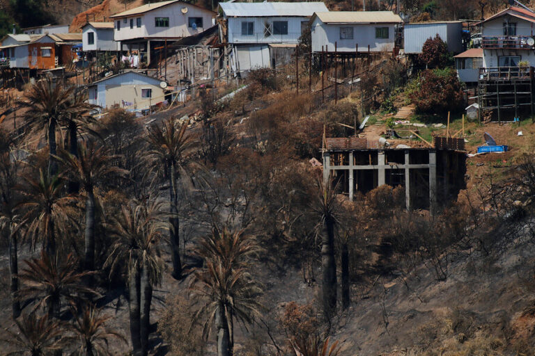 Gobierno extendió el estado de catástrofe en Viña del Mar por el megaincendio