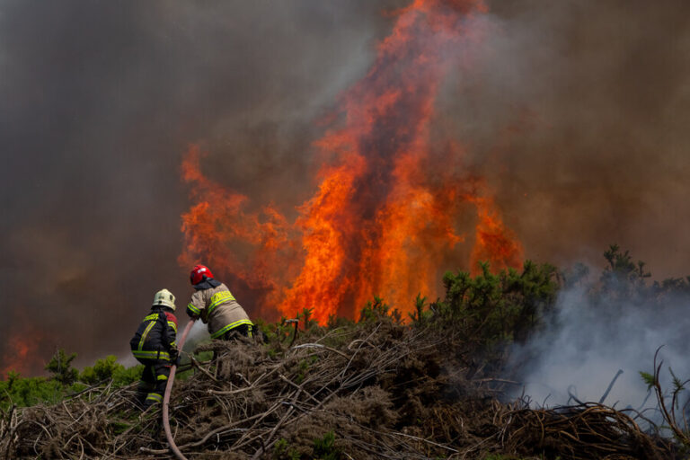 Senapred declara Alerta Roja para la comuna de Pirque por incendio forestal