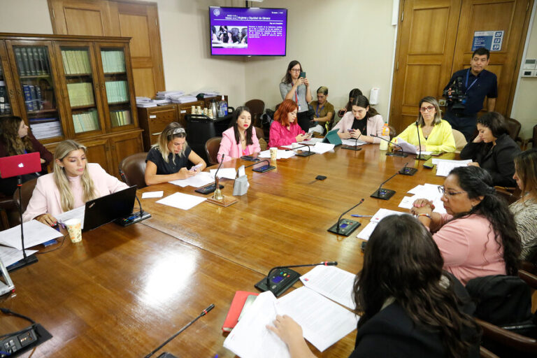 Comisión aprobó proyecto que crea una pensión para hijos de víctimas de femicidio: Monto sería de $160 mil mensuales