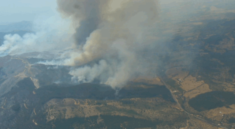 Declaran Alerta Roja por incendios forestales en la comunas de San Javier y Ránquil