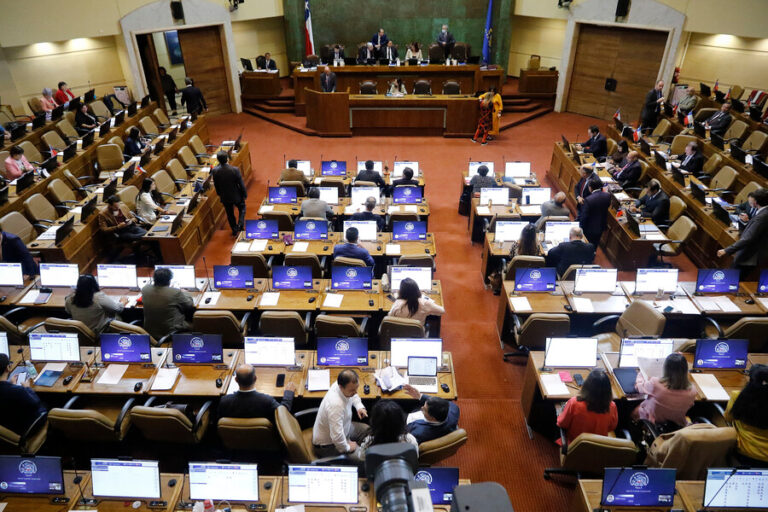Estos son los 12 primeros expertos constituyentes nominados por la Cámara de Diputados