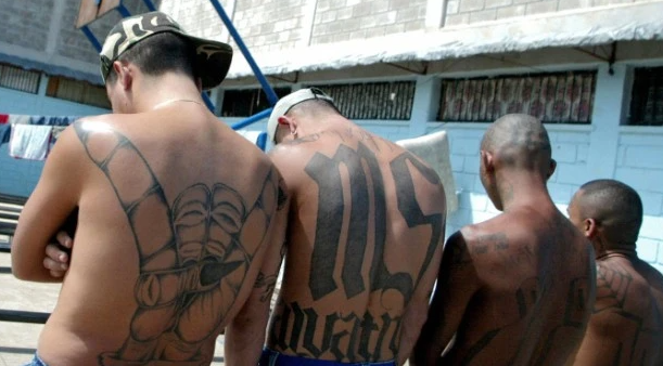Las maras: Qué son y cómo funcionan estas pandillas criminales