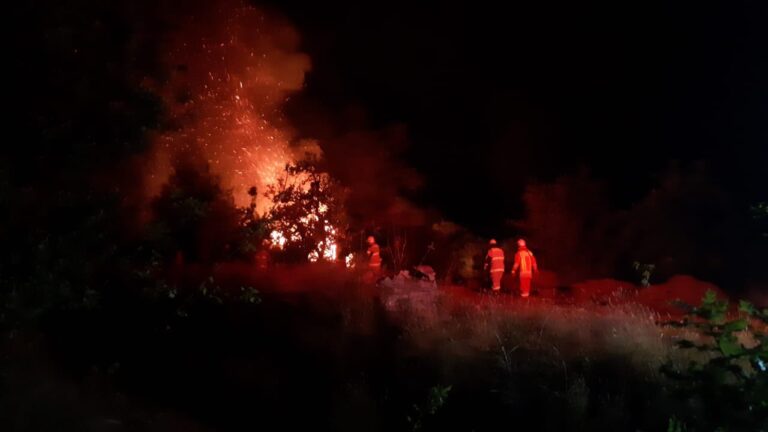 Alcalde de Paillaco pidió declarar zona de catástrofe en la comuna por avance de incendio forestal