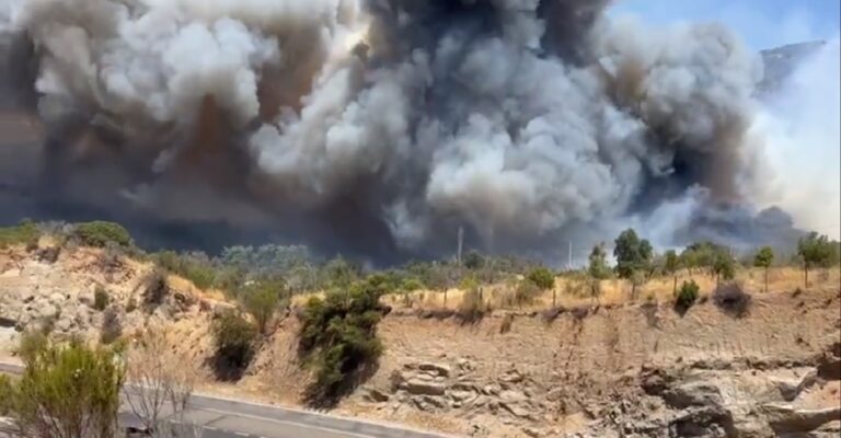 Declaran Alerta Roja en la comuna de Curacaví por incendio forestal