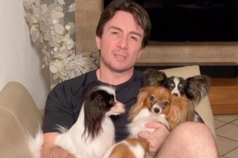 Tuvo un final feliz: Hombre se reencontró con sus perros luego que aerolínea los perdiera