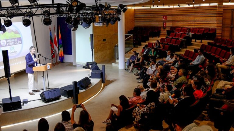 Harvard y Municipalidad de Peñalolén se unen para abordar problemas de salud mental en infantes