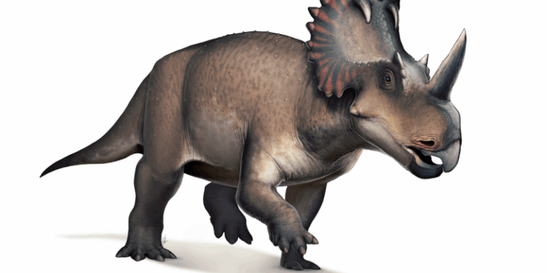 Las diversas enfermedades que sufrieron los dinosaurios hace millones de años y que persisten en la actualidad