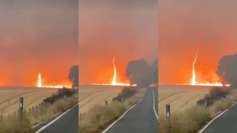 Captan increíble remolino de fuego en medio de incendios forestales en la región de Ñuble