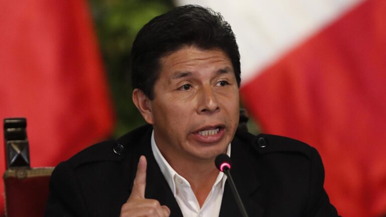 Pedro Castillo calificó como 