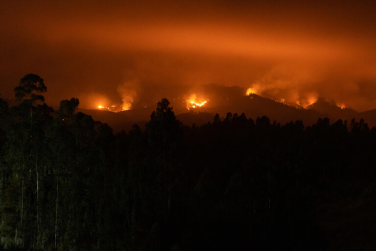 Balance por incendios forestales: Autoridades confirman 10 personas detenidas, 24 muertos y 260 siniestros activos en el país