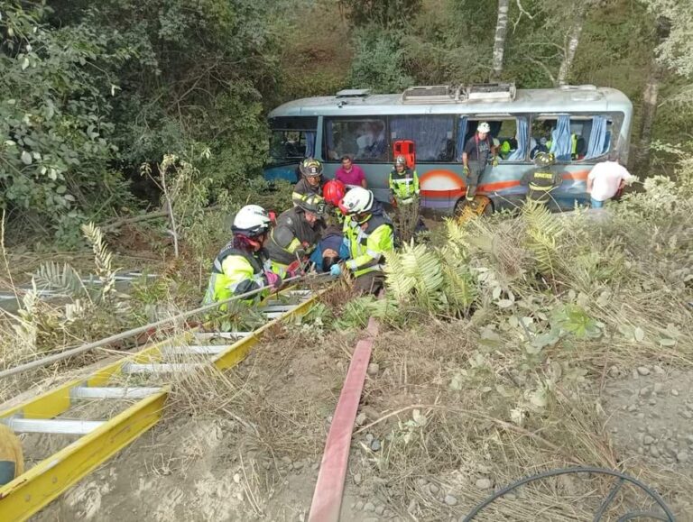 Bus volcó en La Araucanía: Al menos 12 personas resultaron con heridas de diversa consideración