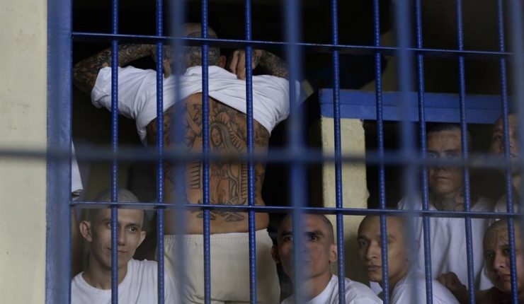 Gobierno niega la presencia del temido grupo criminal 