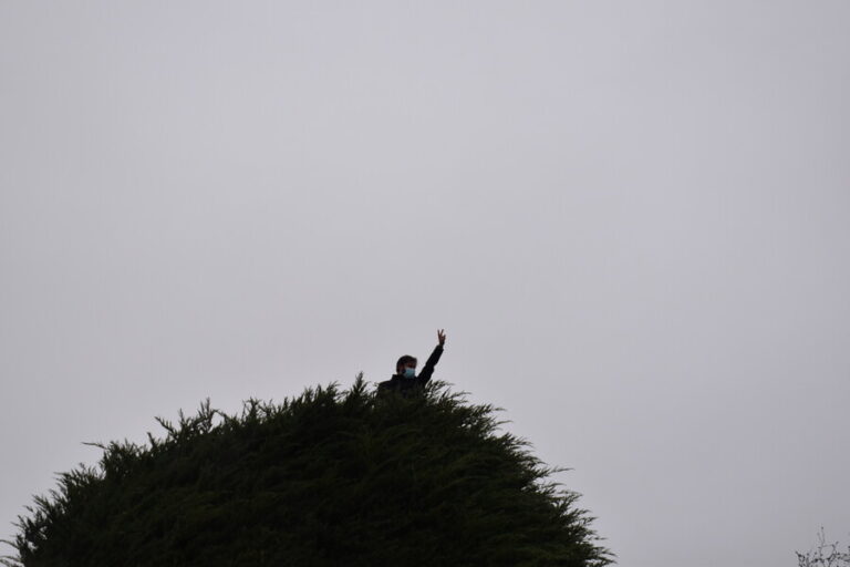 Desconocidos intentan incendiar árbol de la campaña presidencial de Boric