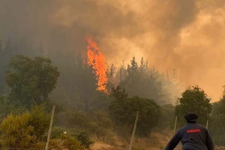 Balance de los incendios: 144 están controlados y 58 siguen en combate