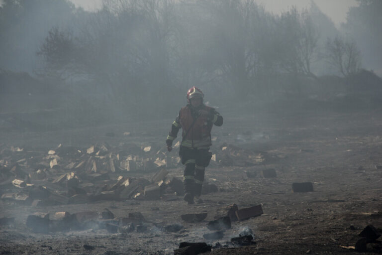 Gobierno decreta estado de catástrofe para la Región de Ñuble por incendios forestales