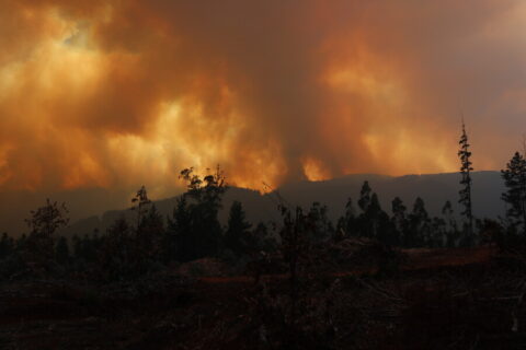 Balance de incendios forestales: 39 están en combate y 65 controlados