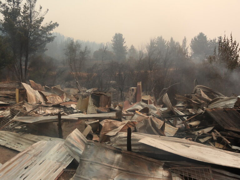 Santa Juana: 50% de las viviendas rurales fueron consumidas por el fuego