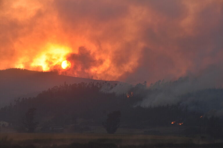 Fiscal regional del Biobío por intencionalidad de incendios: 