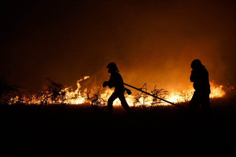 Autoridades confirman muerte de joven en la Región del Ñuble: Fue atropellada tras correr de los incendios y sufrir quemaduras