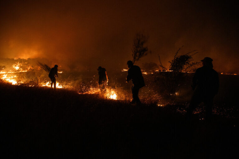 Fiscalía confirma 8 personas imputadas por incendios forestales
