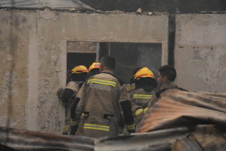 Incendios forestales en La Araucanía: Confirman la muerte de un adulto mayor en Galvarino