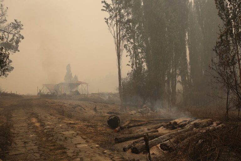 Seremi de Justicia por incendios en el Biobío: 