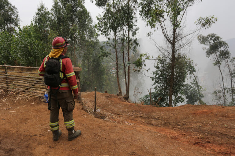 Balance por incendios forestales: 80 siniestros en combate y 1.150 viviendas afectadas