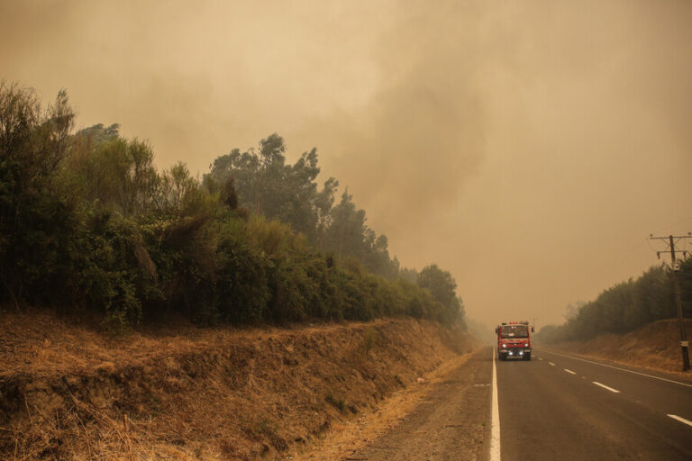 Por avance de incendios forestales: Senapred ordena evacuar sectores de Freire, Sagrada Familia y Portezuelo