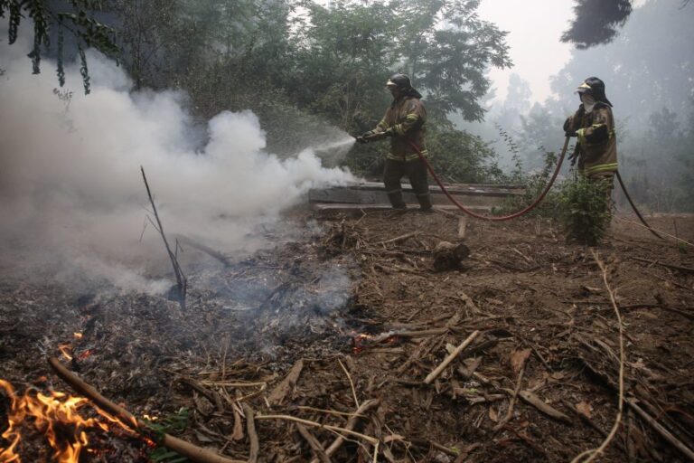 Incendios forestales: Detienen a tres personas en la Región del Biobío por portar líquido combustible