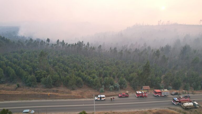 Incendios forestales: MOP llamó a las concesionarias a levantar las barreras a los vehículos de emergencia