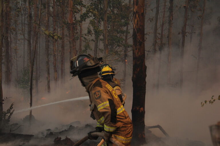 Italia enviará a dos técnicos a Chile para ayudar en el combate de los incendios