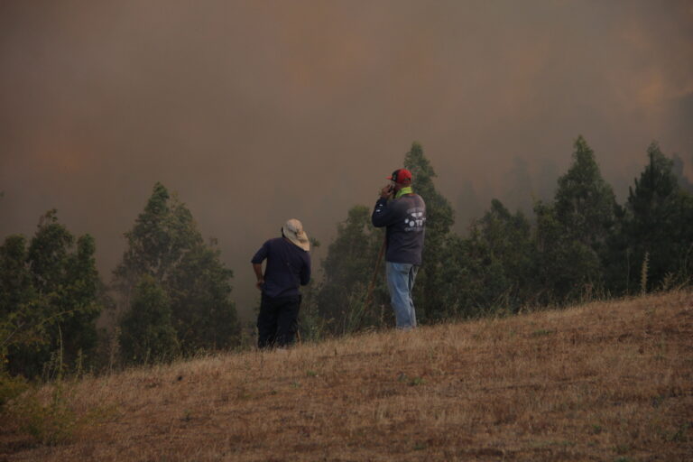 Exportadores de frutas expresaron su preocupación a las autoridades ante avance de los incendios forestales