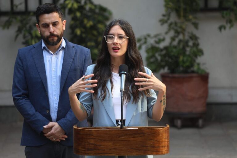 Gobierno estima que los incendios forestales podrán ser extinguidos en su totalidad a mediados de marzo