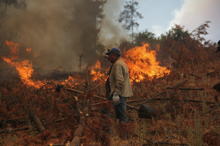 Fiscal de La Araucanía asegura que pese a emergencia por incendios, los grupos radicales 