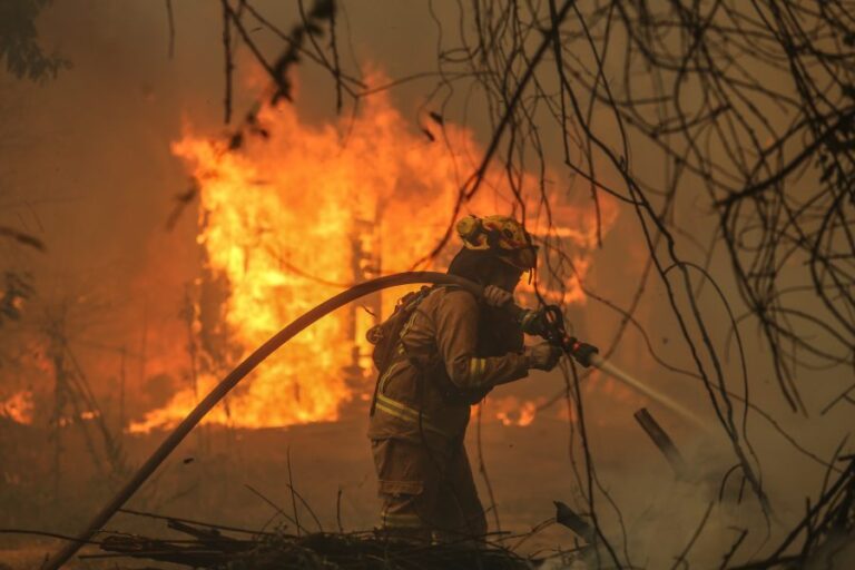 Balance de incendios forestales: 38 en combate, 601 activos y más de 2.100 viviendas destruidas