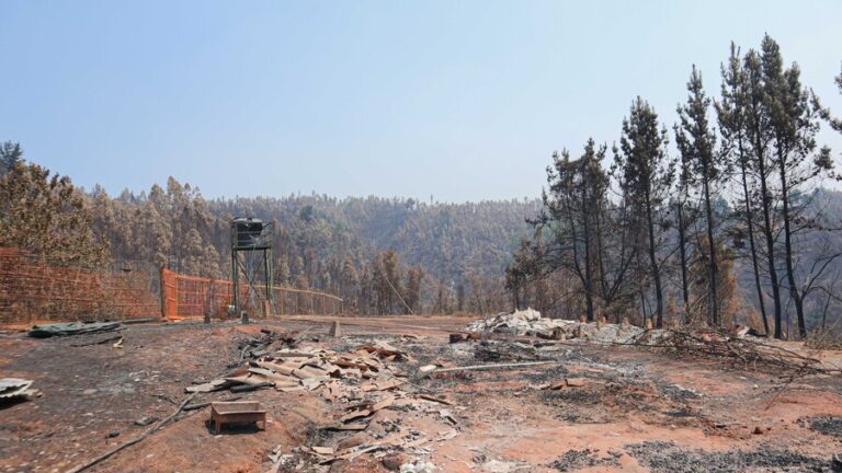 Sigue sin luz ni agua potable: Vecina de Santa Juana pidió celeridad en viviendas de emergencia tras incendios