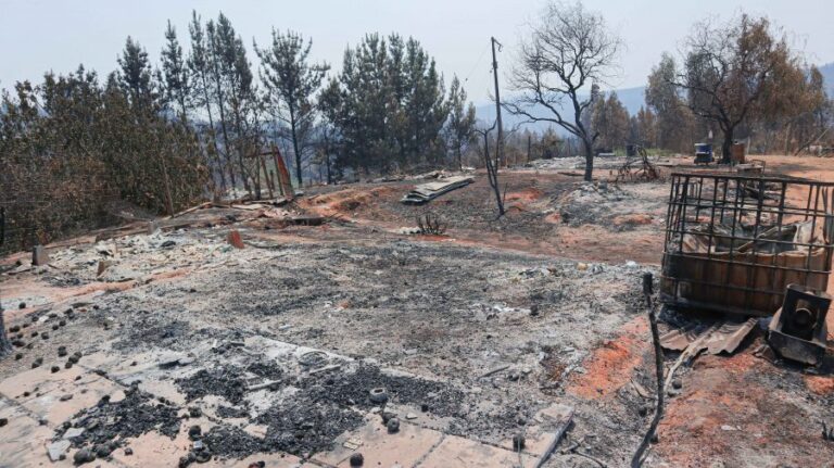 Incendios forestales: Gobierno contempla paquete con 13 medidas de ayuda en apoyo a familias afectadas