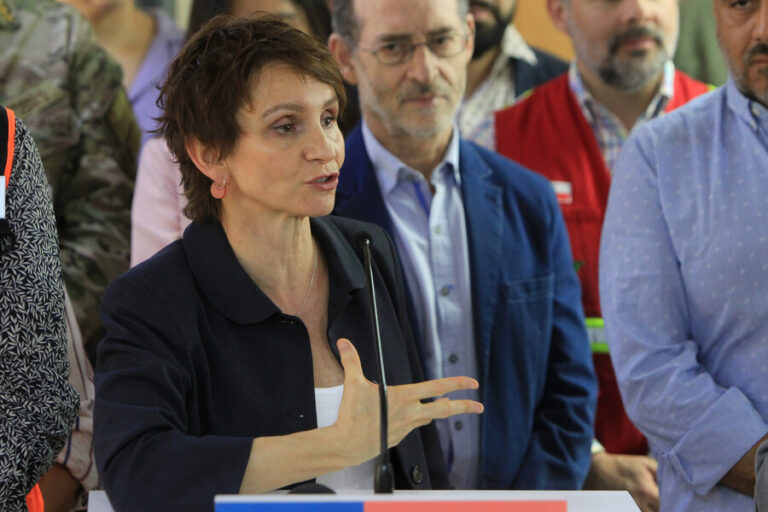 Ministra Tohá entrega nuevo balance por los incendios: 