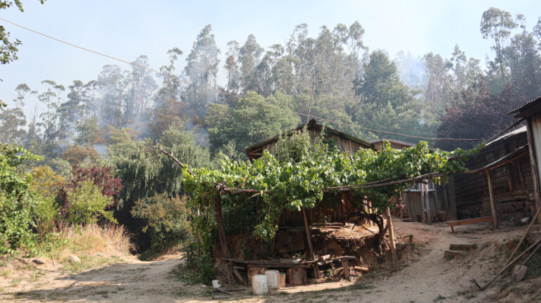Asociación de Notarios y Conservadores anunció la entrega gratuita de títulos ante incendios forestales