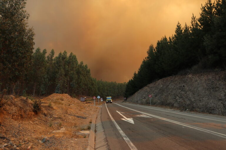 Ordenan la evacuación de dos sectores en Coronel por reactivación de foco de incendio