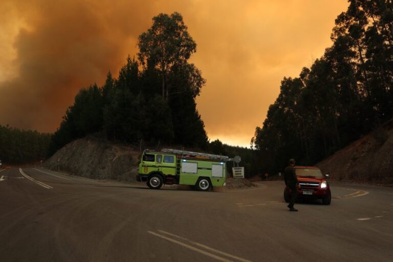 Conaf reporta 6 incendios con riesgo de propagación en La Araucanía