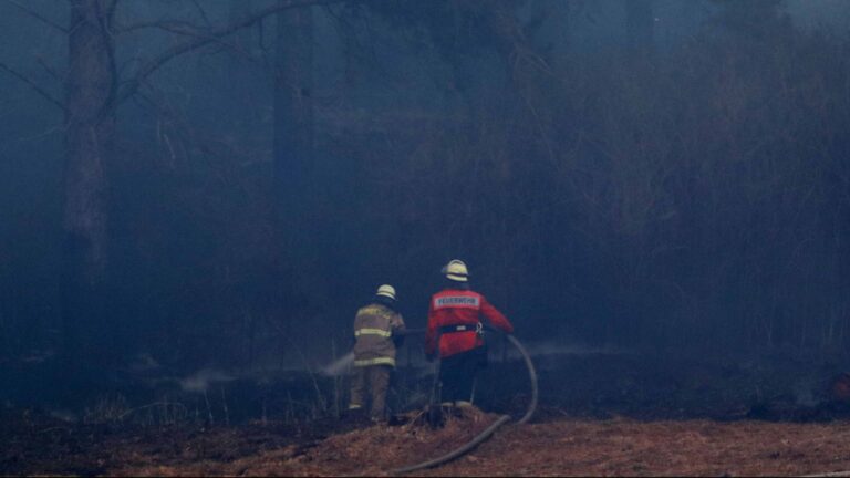 Reporte de incendios forestales hasta este martes: 61 incendios en combate y 180 controlados