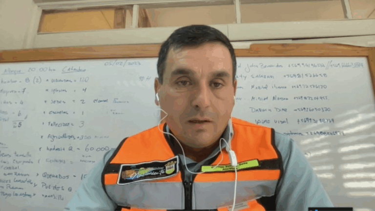 Alcalde dice que cerca del 60% de Nacimiento está “comprometido” por los incendios: “Nos tiene muy desesperados”