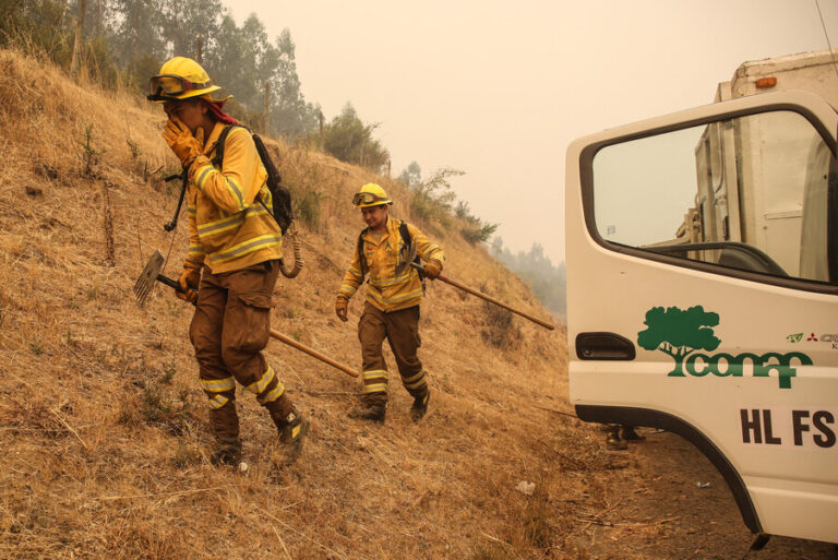 Declaran alerta temprana preventiva para 12 comunas de Valparaíso por amenaza de incendios forestales