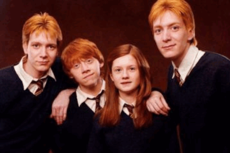 Los gemelos Weasley de 
