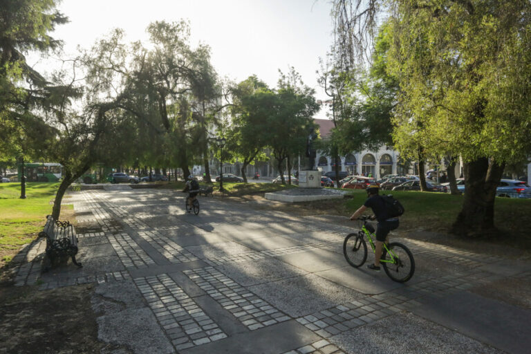 Reducen en más de 90% la presencia de carpas y rucos en el eje Alameda-Providencia