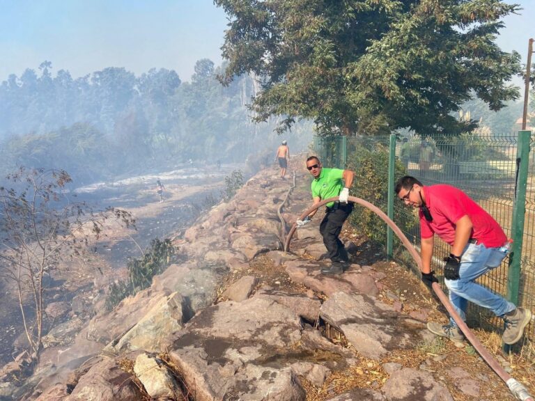 Senapred declara alerta roja por incendio forestal en Peñaflor