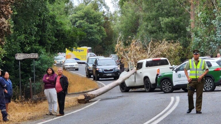 Murió exdirector de Conaf de La Araucanía por caída de árbol que era talado en medio de emergencia forestal