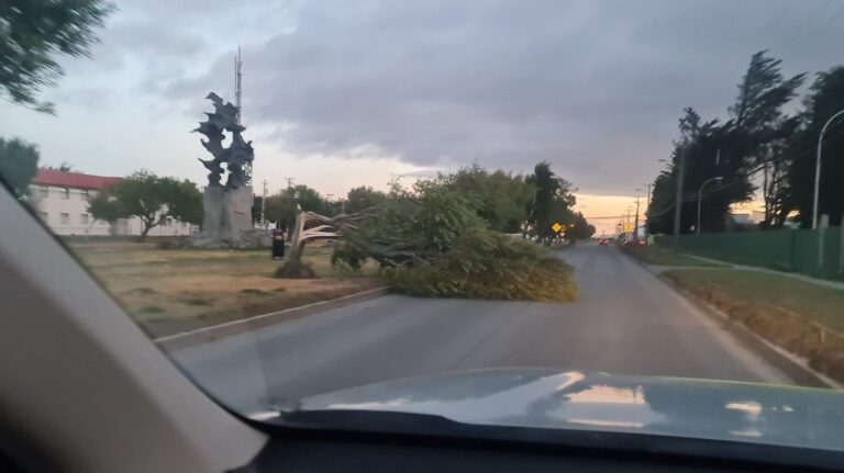 Sistema frontal: Meteorología advirtió que ráfagas de viento alcanzarán los 100 km/h en Punta Arenas